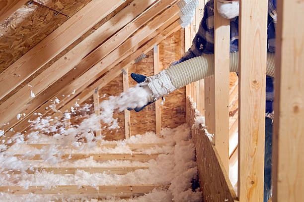 Professional Insulation Removal & Installation in Arcadia, WI